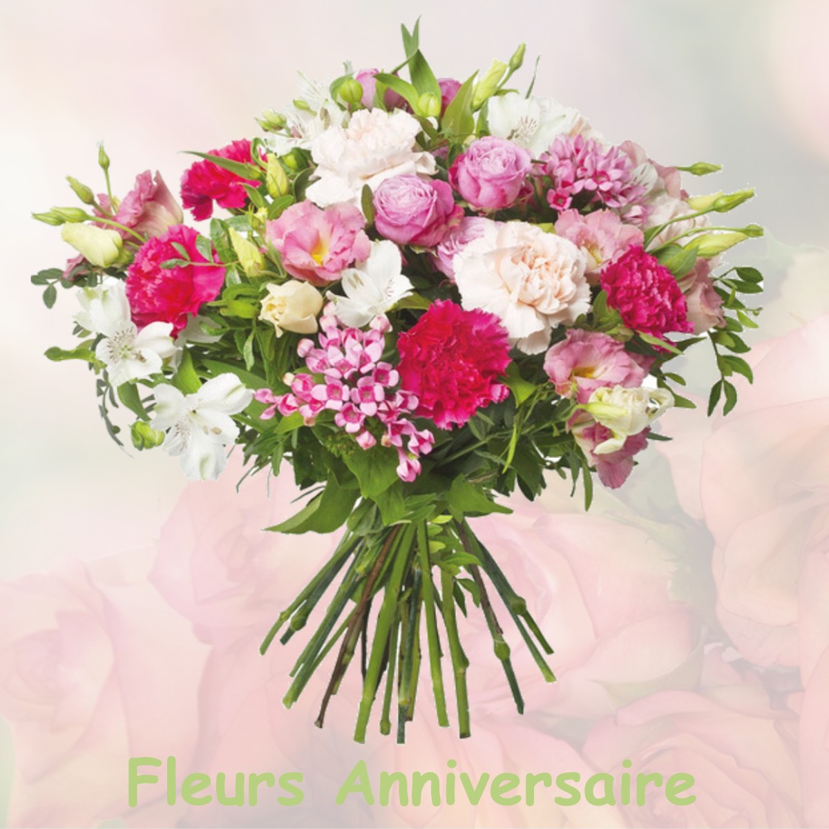 fleurs anniversaire VULAINES-LES-PROVINS